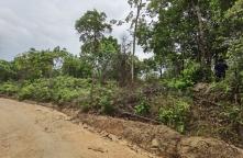 LP63060049-Land for sale 11 rai, divided for sale, 8 plots, on the hill of Koh Phangan, Surat Thani.