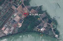 LA64110003-Land for sale next to the mangrove forest by the sea 86 rai 102 square wa.