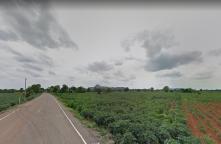 LP65070486-Nong Muang Lopburi Land Land for sale, area 9 rai, good location, next to the road, cheap price