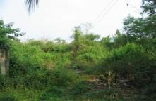 LA56100015-Land for sale 1 for 21.8 E.rn.y. Taling Point mall. Near the Southern Bus