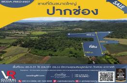กดที่นี่เพื่อแสดงรายละเอียด