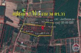 Click here to view detail