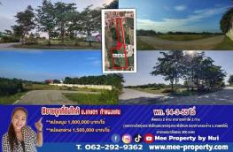Click here to view detail