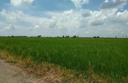 กดที่นี่เพื่อแสดงรายละเอียด