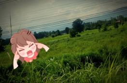 กดที่นี่เพื่อแสดงรายละเอียด