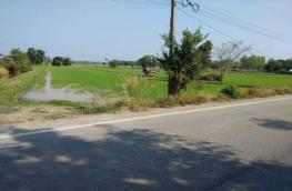 กดที่นี่เพื่อแสดงรายละเอียด