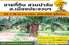กดที่นี่เพื่อแสดงรายละเอียด