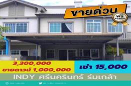 Click here to view detail
