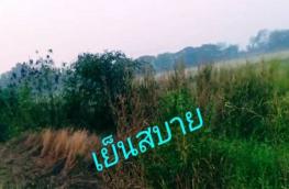 กดที่นี่เพื่อแสดงรายละเอียด