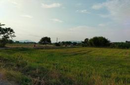 กดที่นี่เพื่อแสดงรายละเอียด