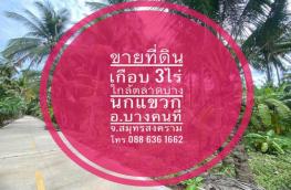 กดที่นี่เพื่อแสดงรายละเอียด