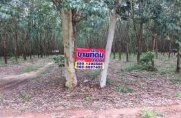 กดที่นี่เพื่อแสดงรายละเอียด