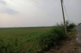กดที่นี่เพื่อแสดงรายละเอียด