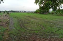 กดที่นี่เพื่อแสดงรายละเอียด