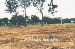 กดที่นี่เพื่อแสดงรายละเอียด
