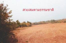 กดที่นี่เพื่อแสดงรายละเอียด