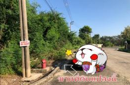 กดที่นี่เพื่อแสดงรายละเอียด