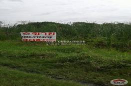 Click here to view detail