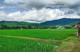 กดที่นี่เพื่อแสดงรายละเอียด