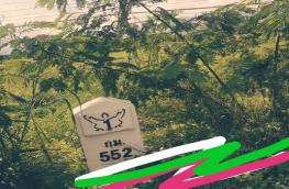 กดที่นี่เพื่อแสดงรายละเอียด