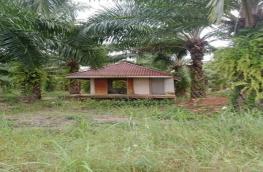 Click here to view detail
