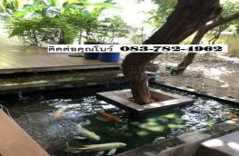 กดที่นี่เพื่อแสดงรายละเอียด