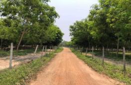 กดที่นี่เพื่อแสดงรายละเอียด