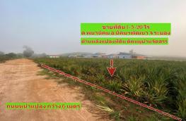 กดที่นี่เพื่อแสดงรายละเอียด