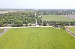 กดที่นี่เพื่อแสดงรายละเอียด