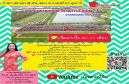 กดที่นี่เพื่อแสดงรายละเอียด