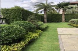 Click here to view detail