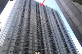 Click here to view detail