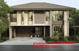 Click here to view detail