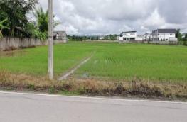 กดที่นี่เพื่อแสดงรายละเอียด