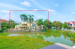 Click here to view detail