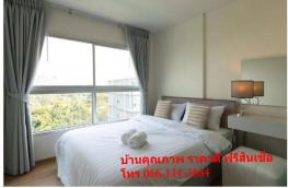 Click here to view detail