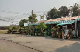 กดที่นี่เพื่อแสดงรายละเอียด
