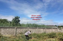 กดที่นี่เพื่อแสดงรายละเอียด