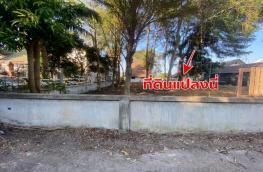 กดที่นี่เพื่อแสดงรายละเอียด