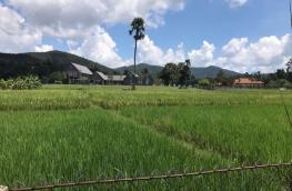 กดที่นี่เพื่อแสดงรายละเอียด