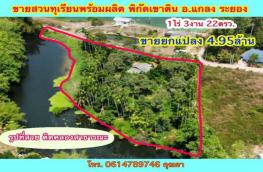 กดที่นี่เพื่อแสดงรายละเอียด