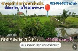 กดที่นี่เพื่อแสดงรายละเอียด