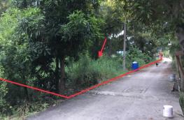 Click here to view detail
