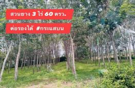 กดที่นี่เพื่อแสดงรายละเอียด