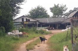 กดที่นี่เพื่อแสดงรายละเอียด