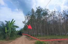กดที่นี่เพื่อแสดงรายละเอียด