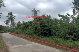 Click here to view detail