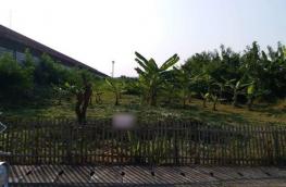 กดที่นี่เพื่อแสดงรายละเอียด