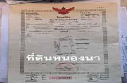 กดที่นี่เพื่อแสดงรายละเอียด