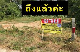 กดที่นี่เพื่อแสดงรายละเอียด